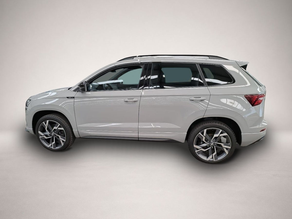 Skoda Karoq, image 4 of 4