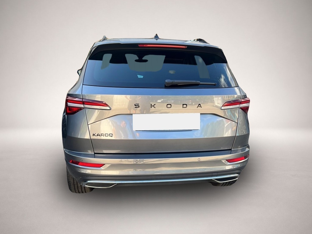 Skoda Karoq (01/2026, Benzin)