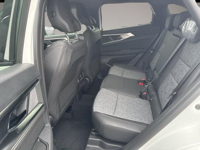 Renault Austral (05/2026, Benzin)