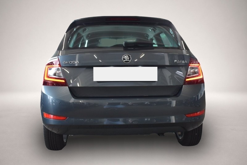 Skoda Fabia (01/2020, )