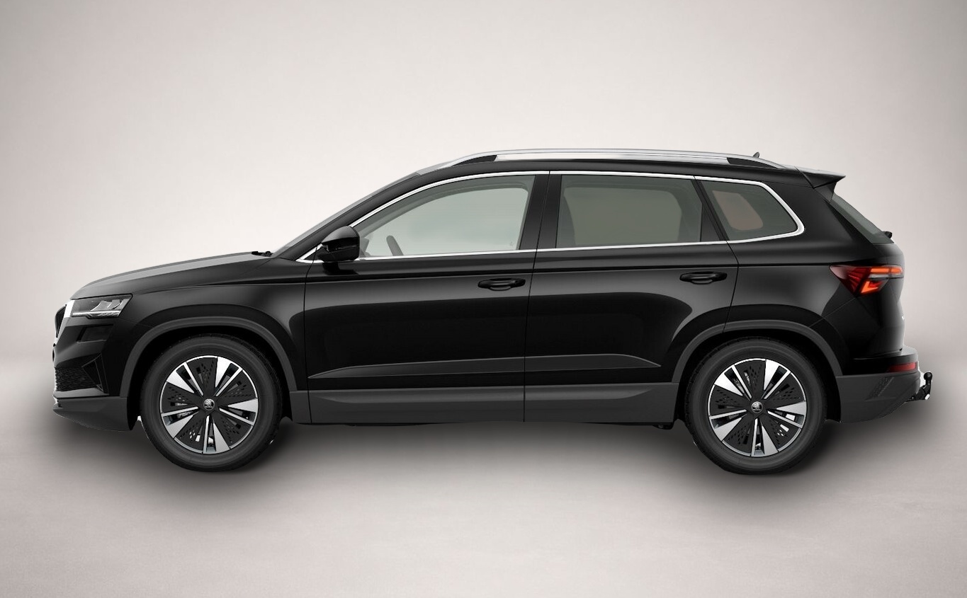 Skoda Karoq (06/2026, Benzin)