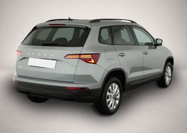 Skoda Karoq (04/2026, Benzin)