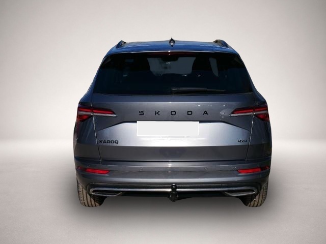 Skoda Karoq (03/2026, Benzin)