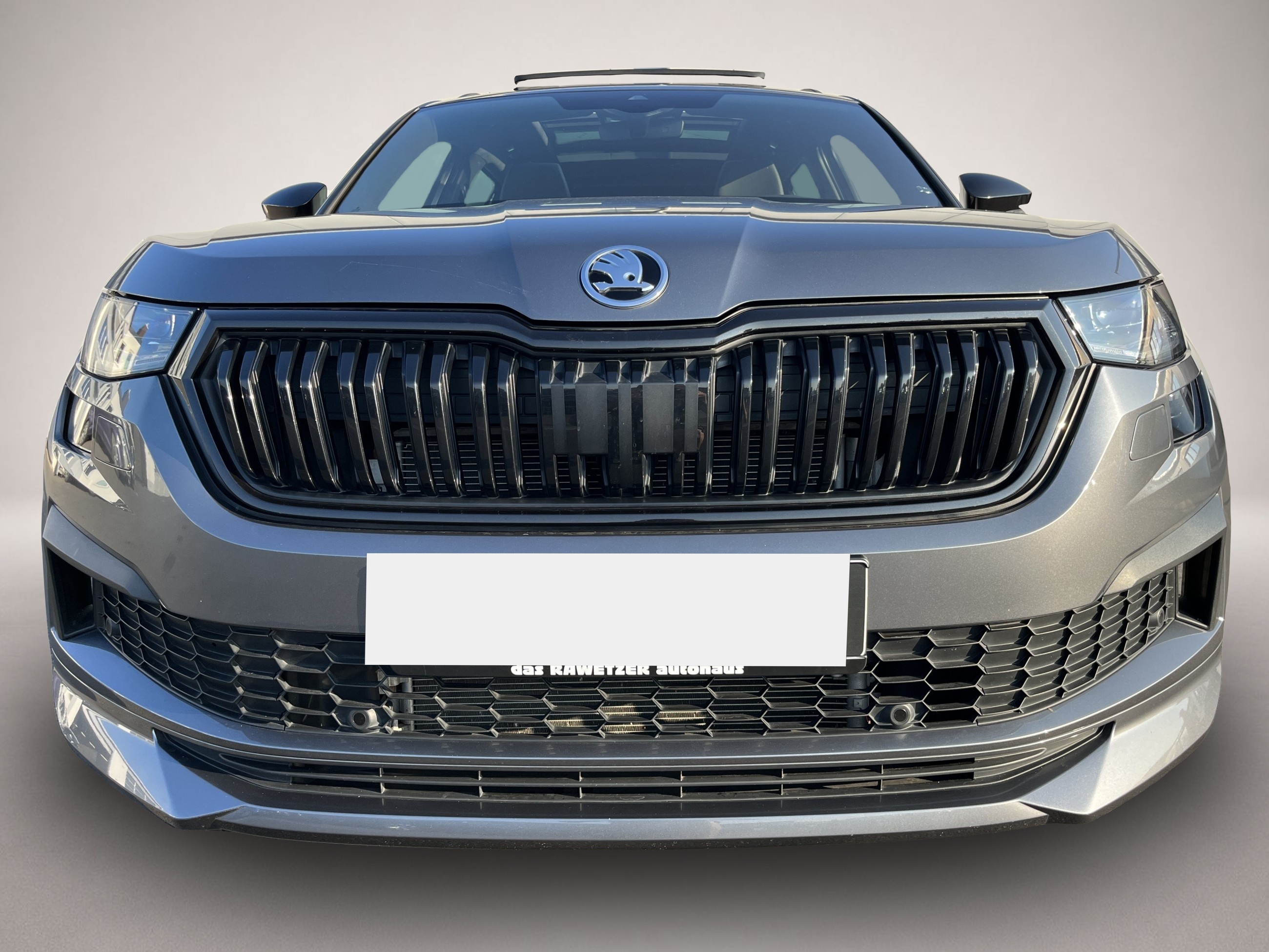 Skoda Kodiaq (02/2023, Diesel)