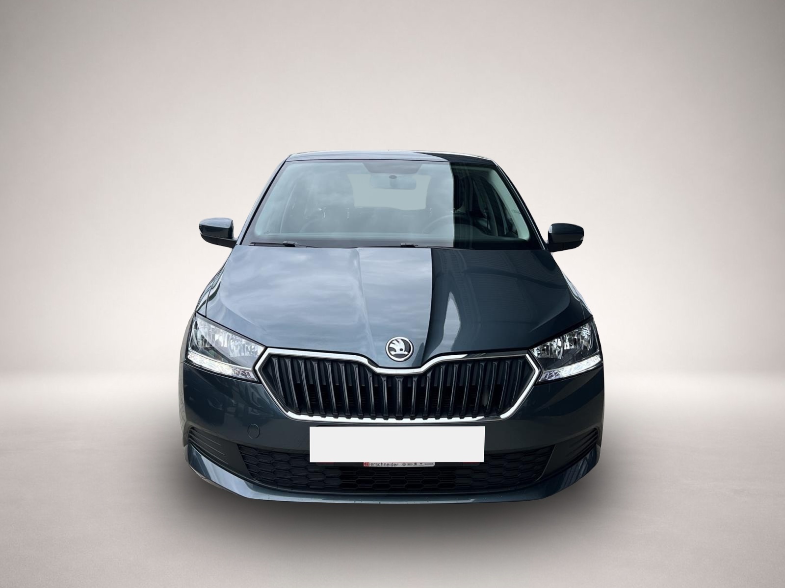 Skoda Fabia (04/2021, Benzin)