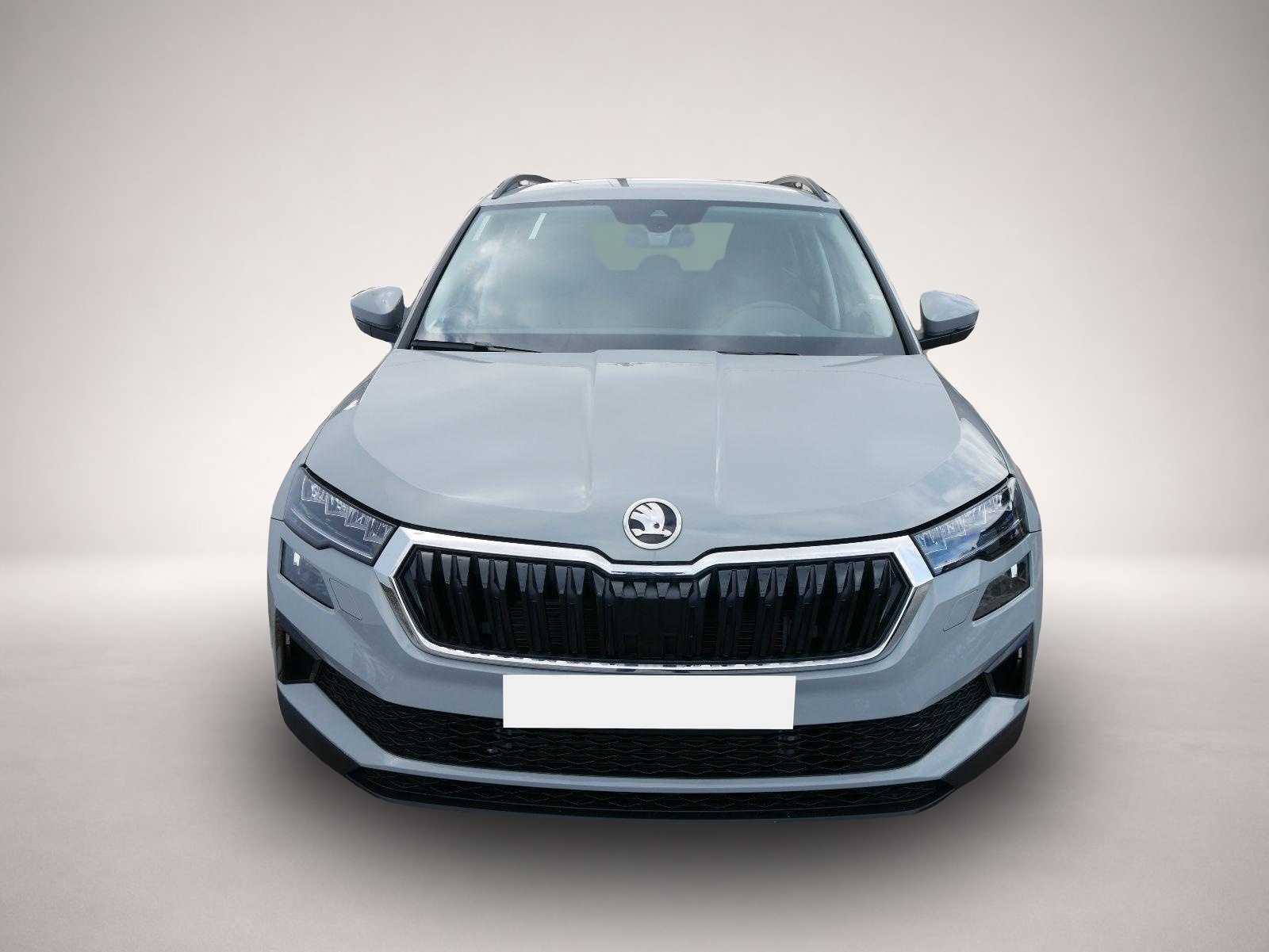Skoda Karoq (02/2026, Diesel)
