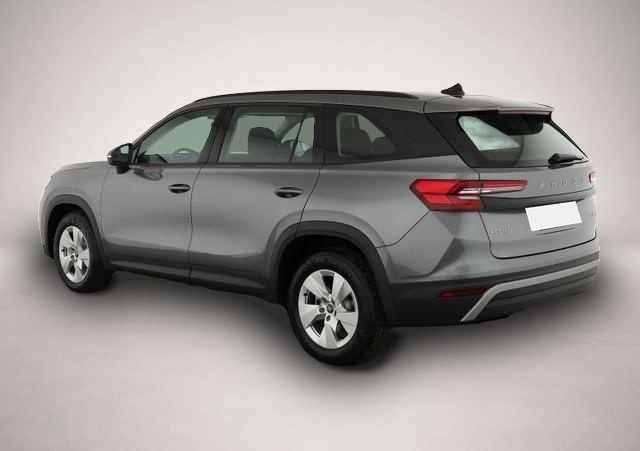 Skoda Kodiaq (06/2026, Benzin)
