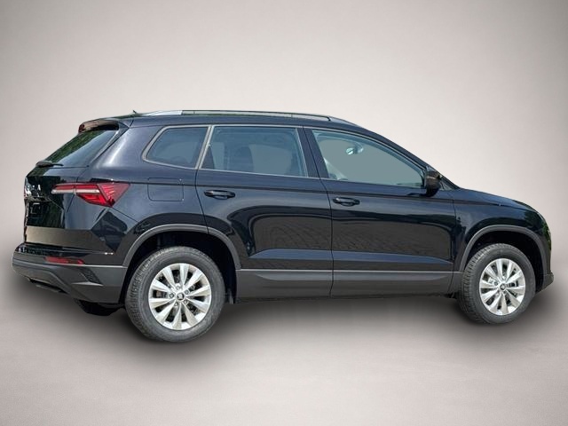 Skoda Karoq (06/2026, Benzin)