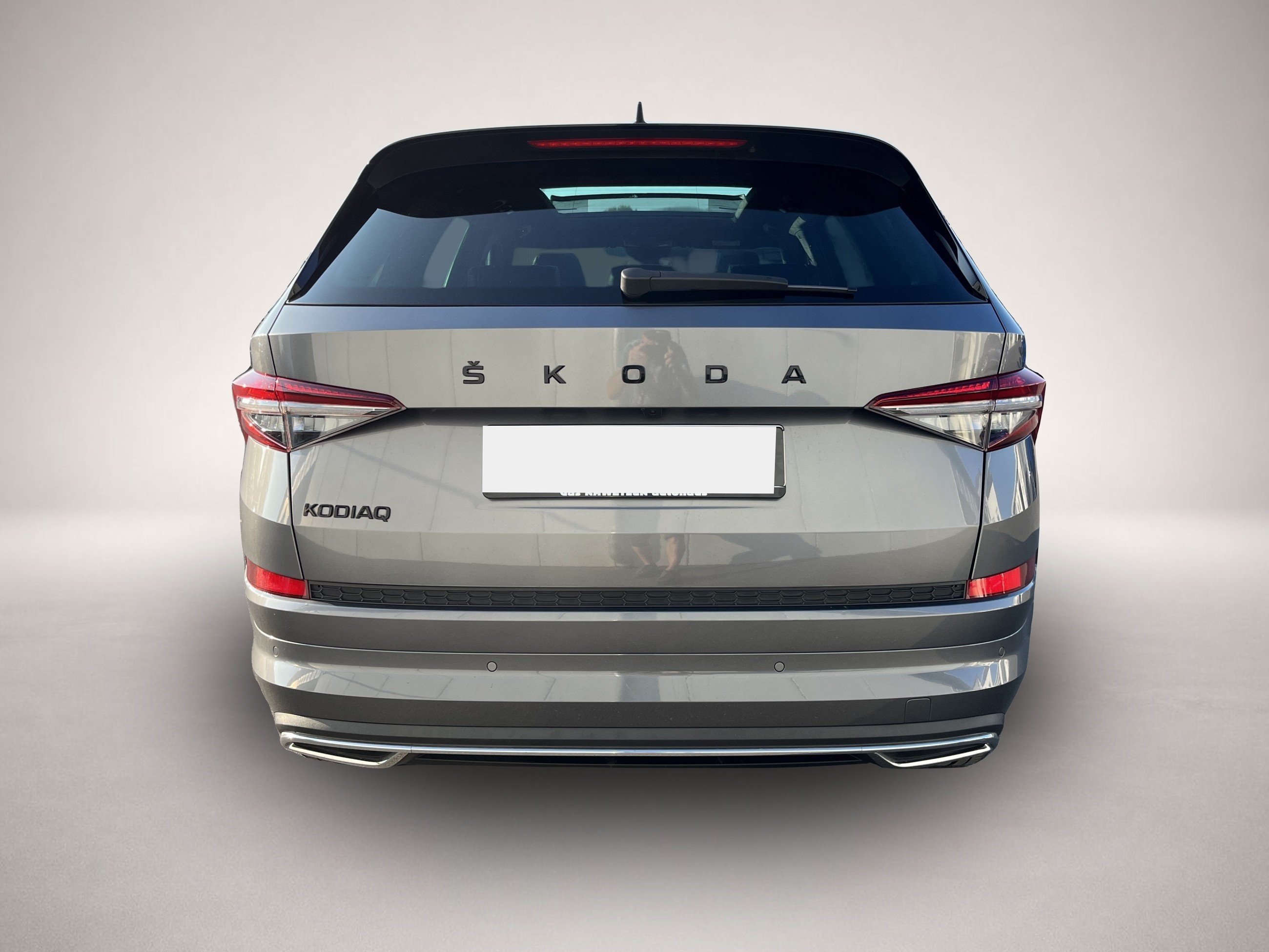 Skoda Kodiaq (02/2023, Diesel)