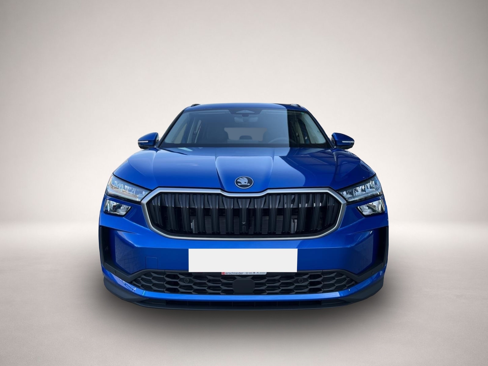 Skoda Kodiaq, Bild 8 von 8
