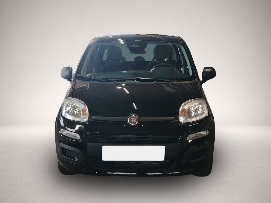 Fiat Other (06/2026, Benzin)
