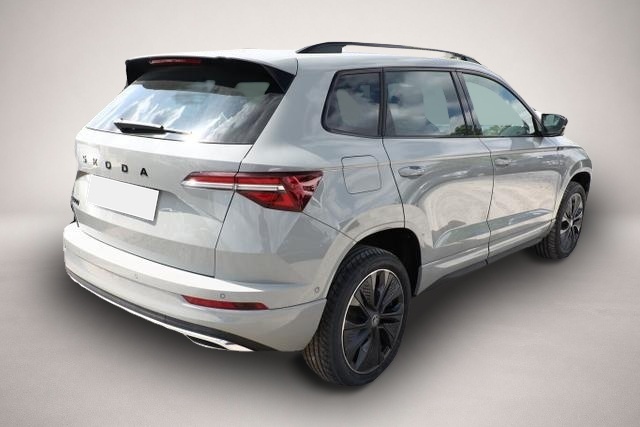 Skoda Karoq (07/2026, Benzin)