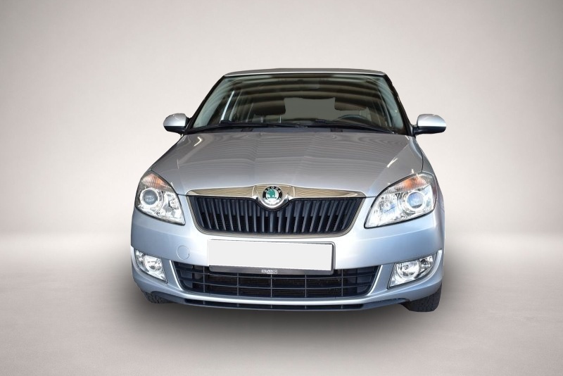 Skoda Fabia (02/2011, )