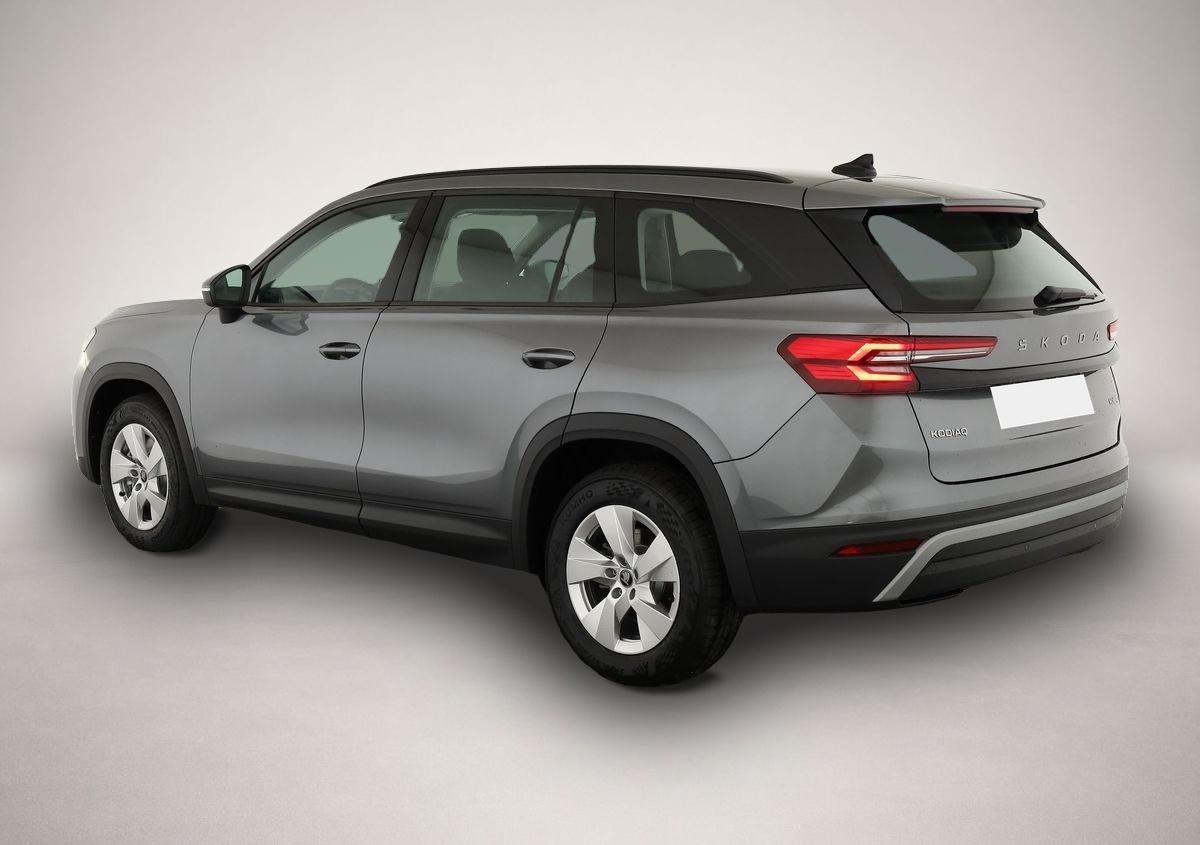 Skoda Kodiaq (07/2026, Benzin)