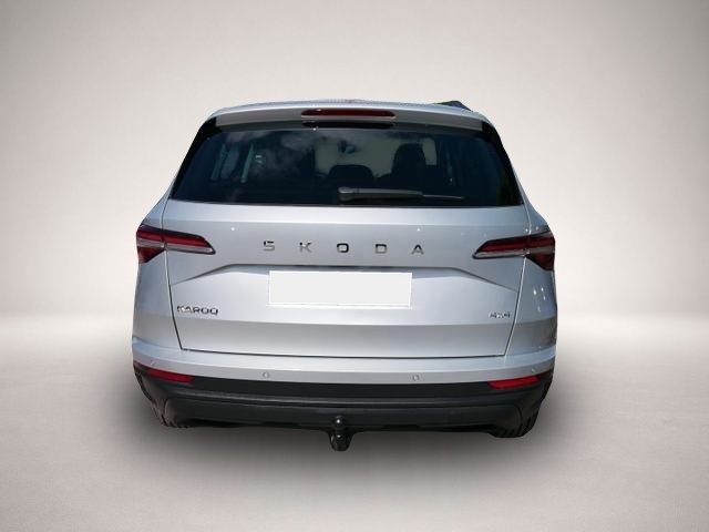 Skoda Karoq (02/2026, Diesel)