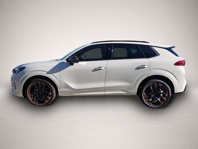 Cupra Terramar (09/2025, Benzin)