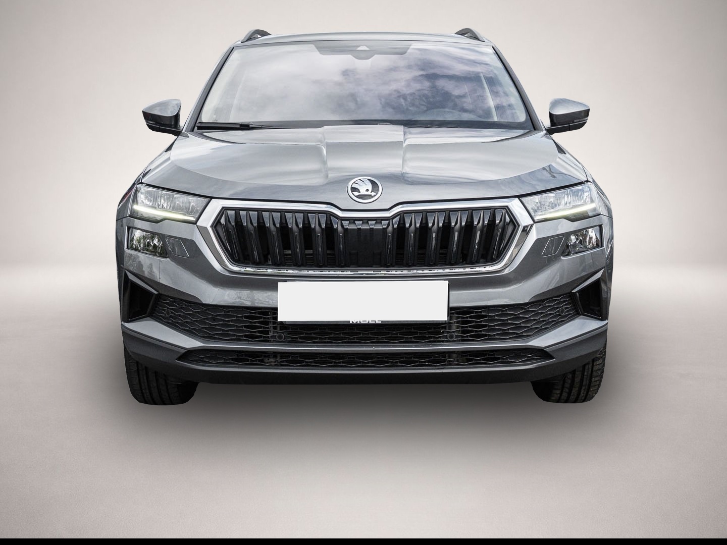 Skoda Karoq (01/2023, Benzin)