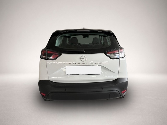 Opel Crossland (X) (01/2024, Benzin)