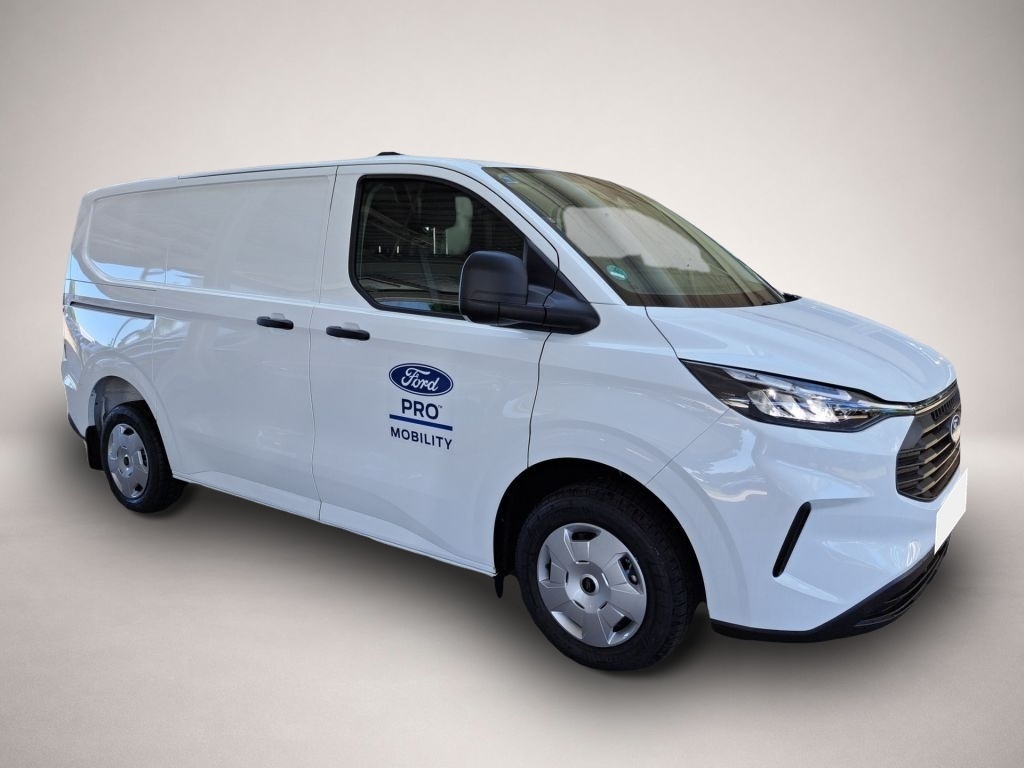 Ford Other (11/2024, )