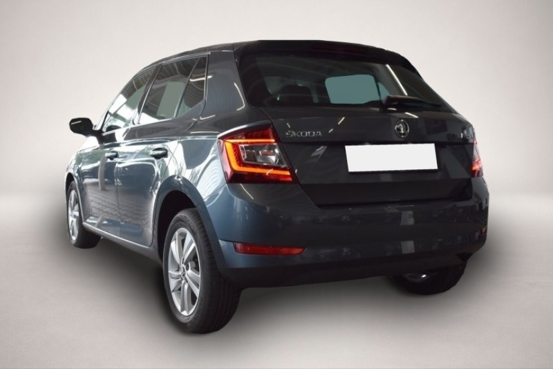 Skoda Fabia (01/2020, )
