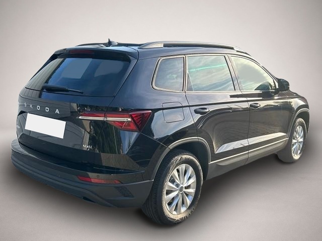 Skoda Karoq, Bild 2 von 4