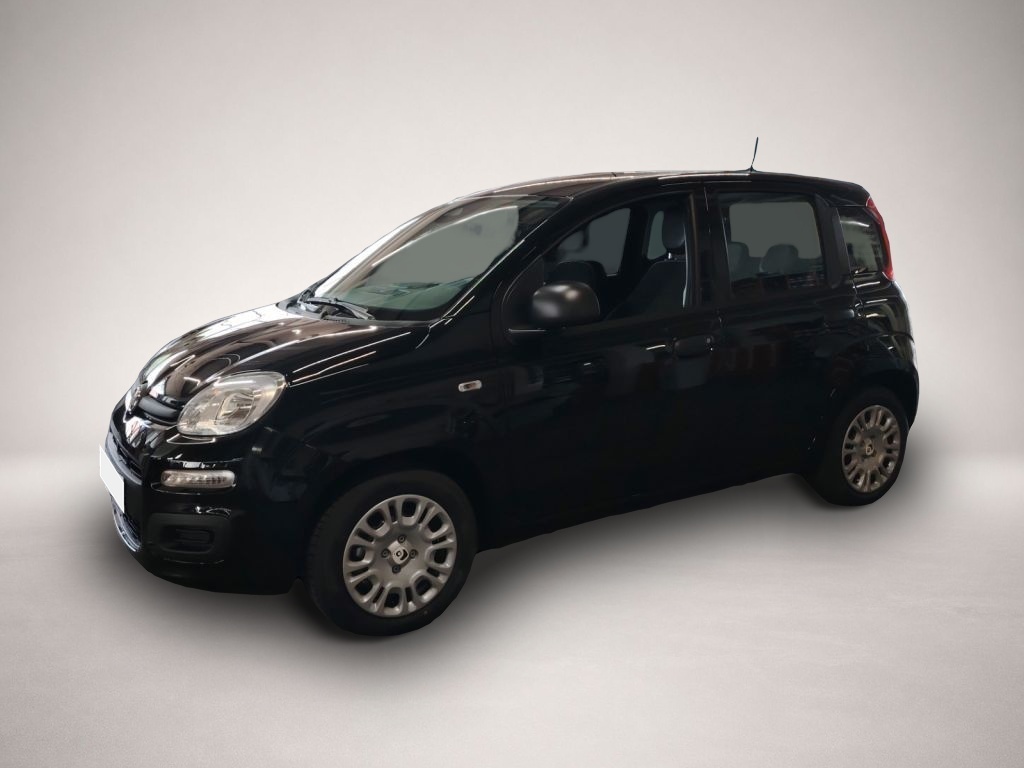 Fiat Other (06/2026, Benzin)