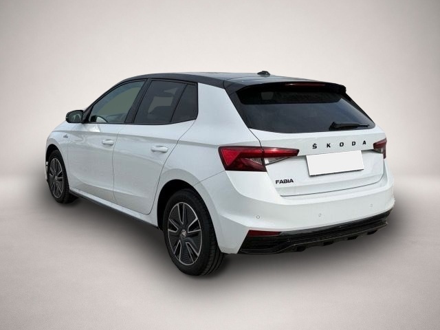 Skoda Fabia (08/2023, Benzin)