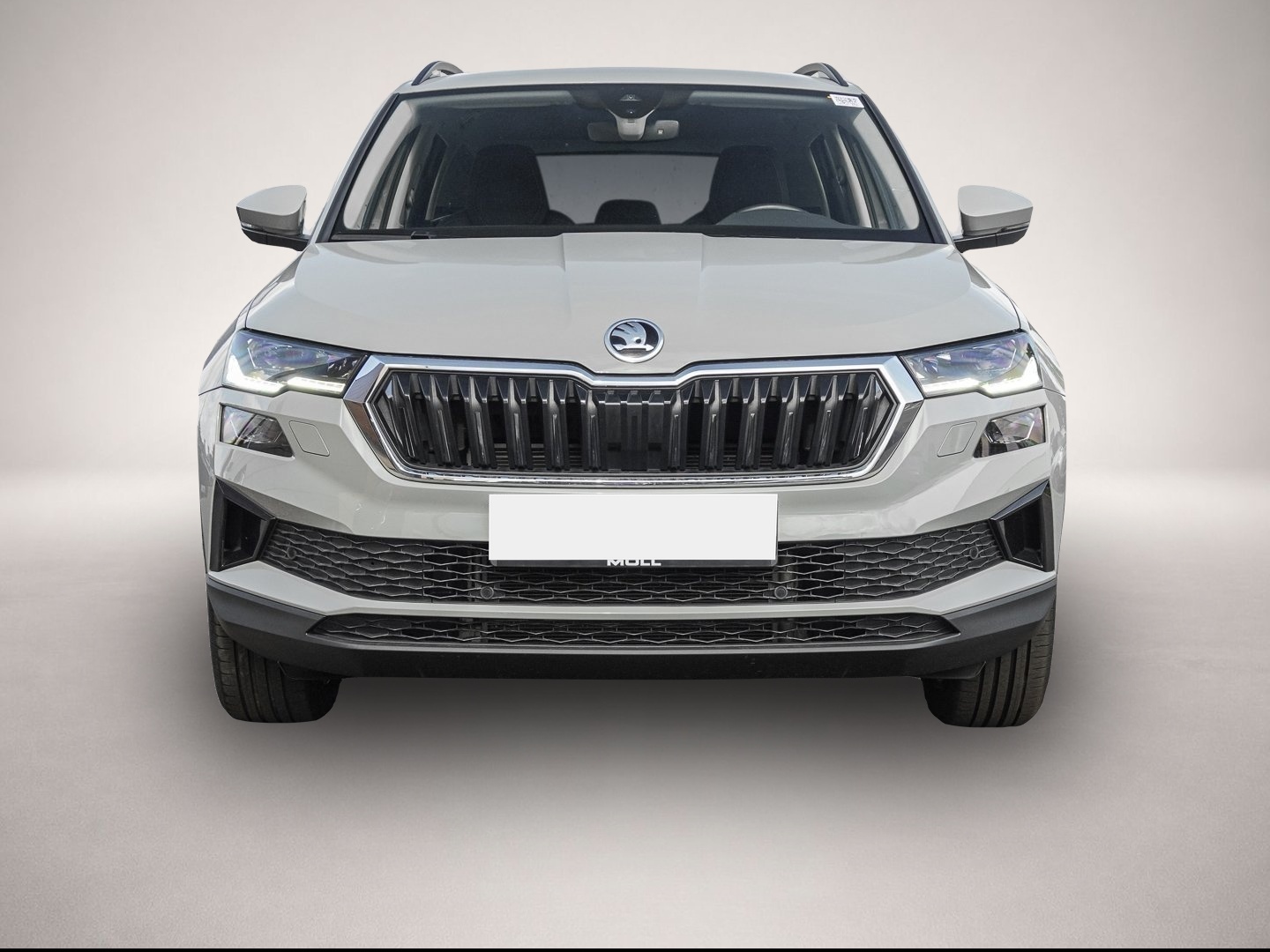 Skoda Karoq (11/2024, Diesel)
