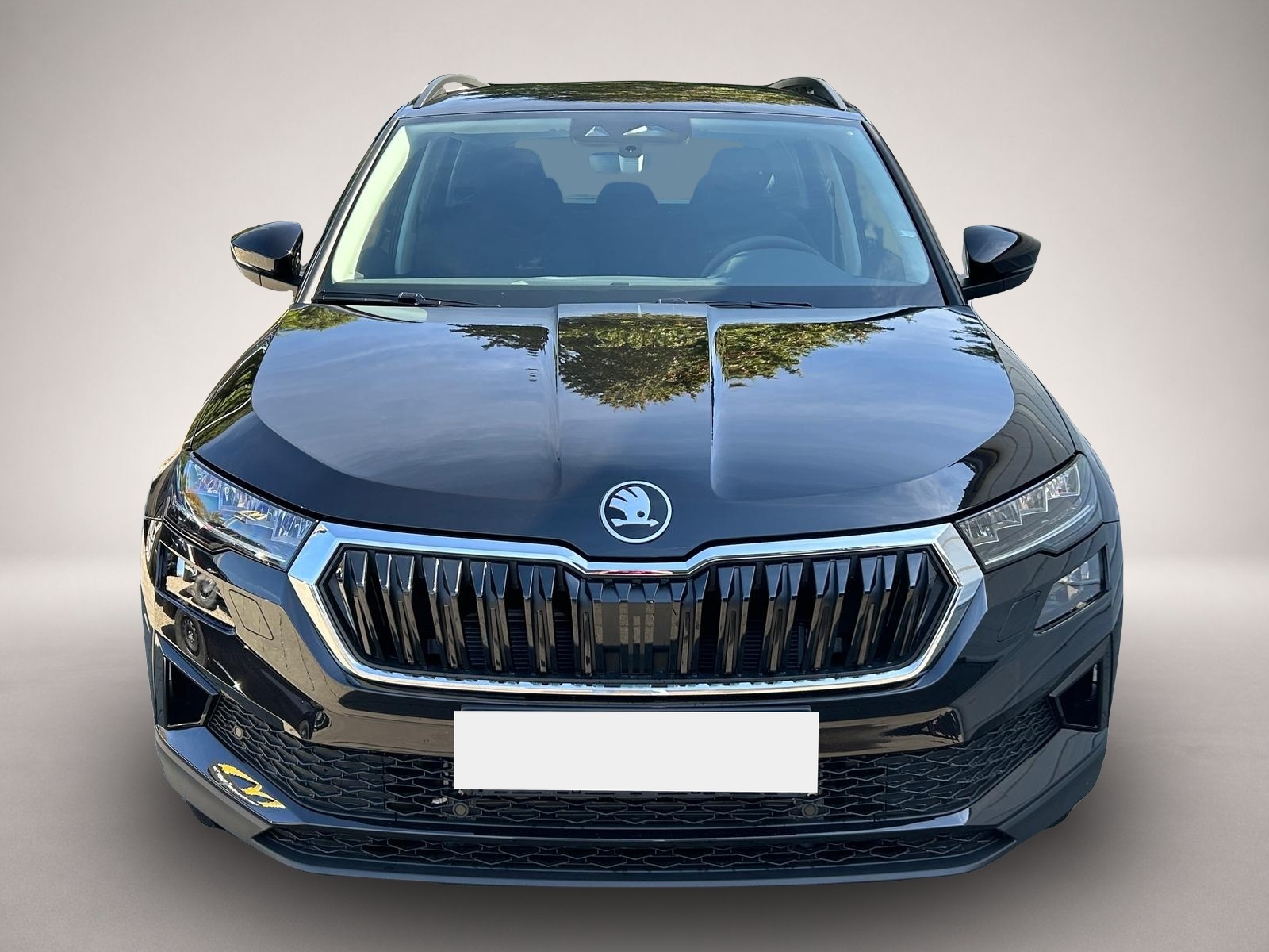 Skoda Karoq, Bild 2 von 5