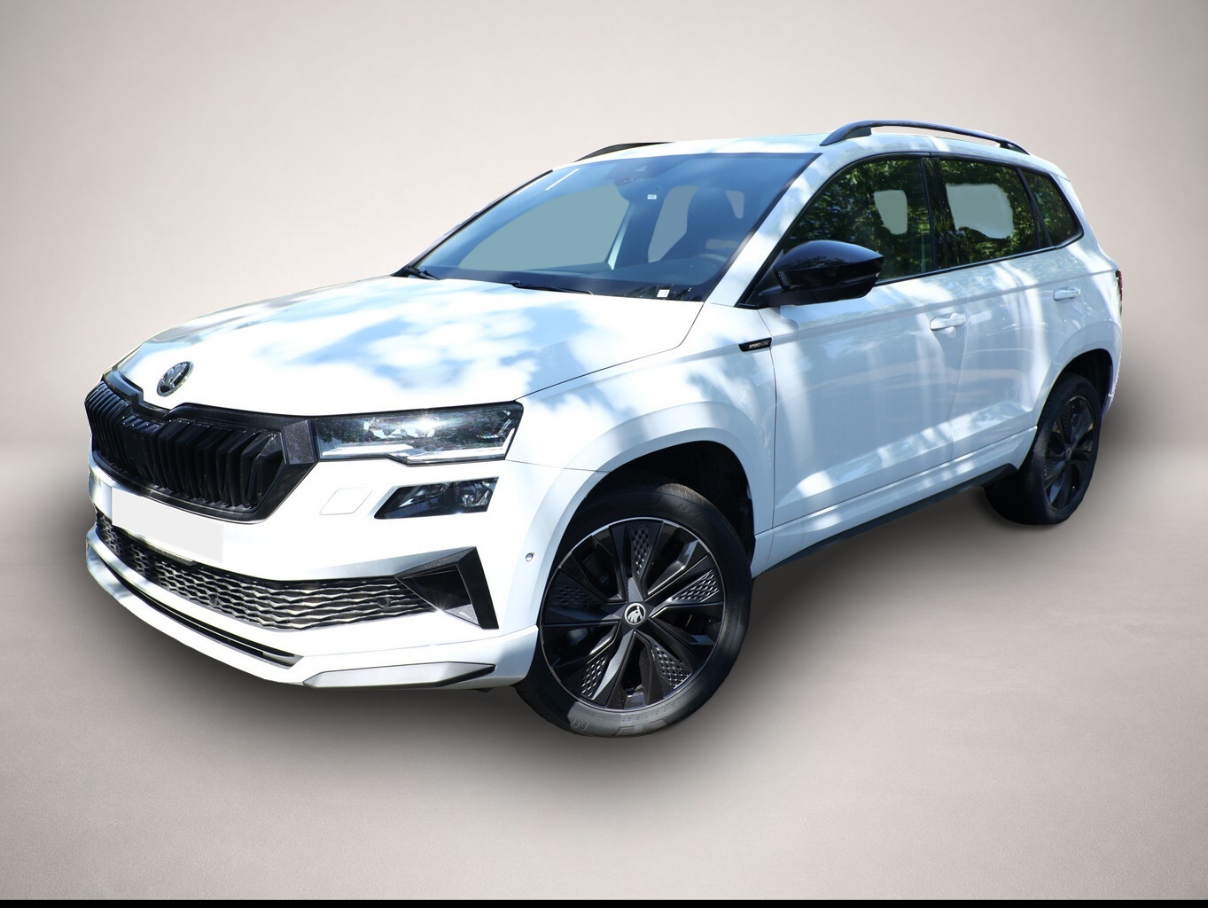 Skoda Karoq (01/2026, Diesel)