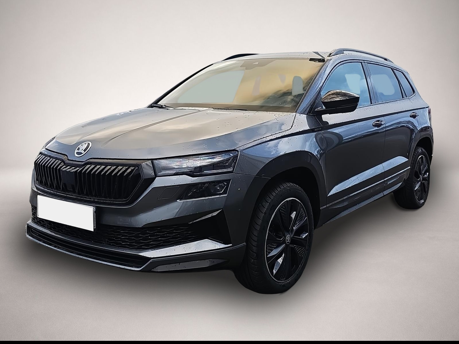 Skoda Karoq (05/2026, Benzin)