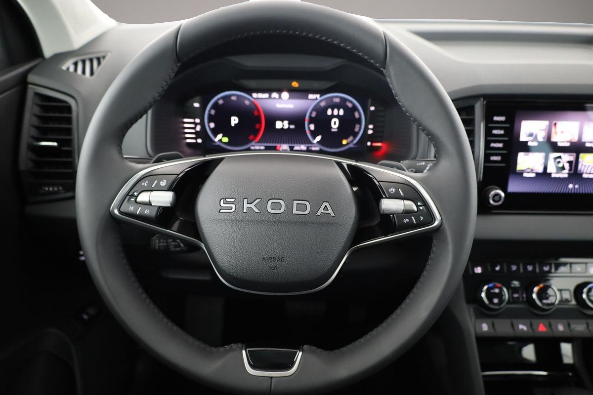 Skoda Karoq (06/2026, Diesel)