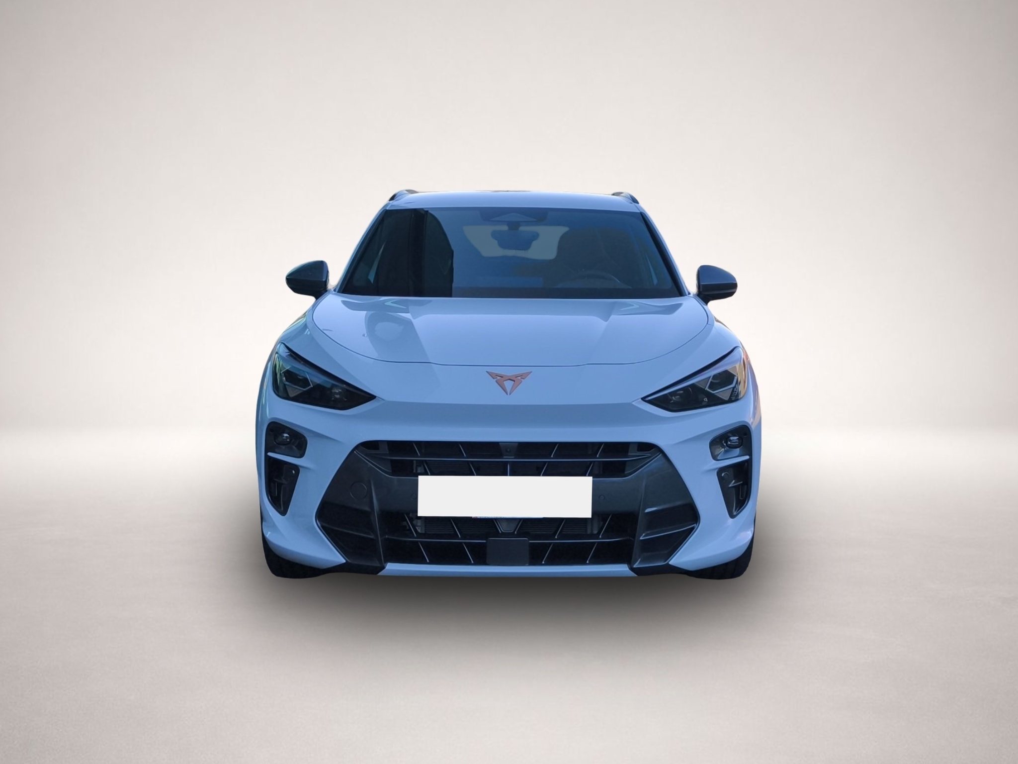 CUPRA Terramar, Bild 2 von 5