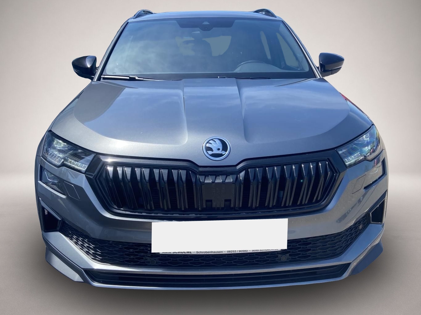 Skoda Karoq (11/2022, )
