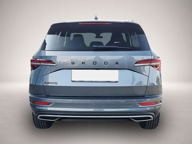 Skoda Karoq (04/2026, Benzin)