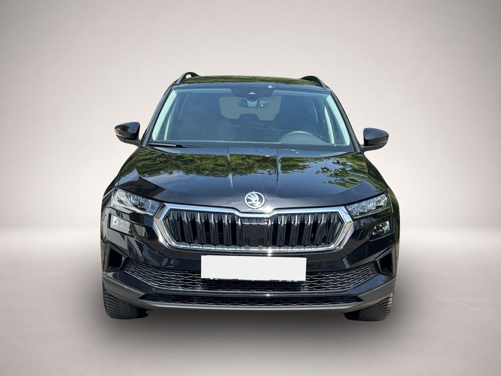 Skoda Karoq (08/2025, )