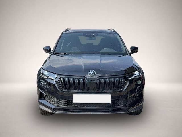 Skoda Karoq (07/2026, Benzin)