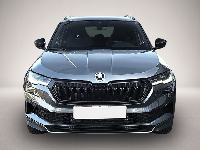 Skoda Karoq (04/2026, Benzin)