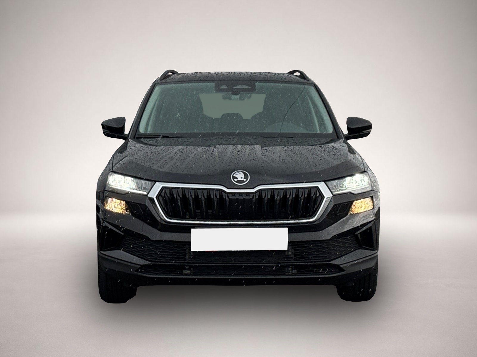 Skoda Karoq (06/2026, Benzin)