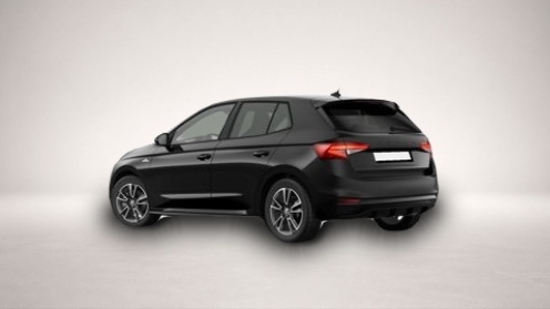 Skoda Fabia (06/2026, Benzin)