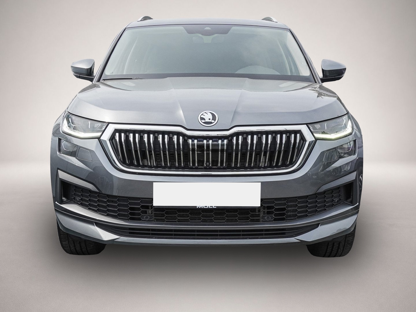 Skoda Kodiaq (05/2023, )
