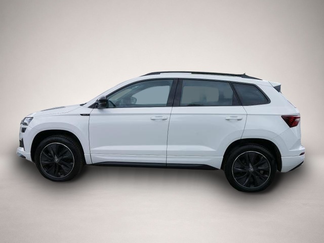 Skoda Karoq (02/2026, Benzin)