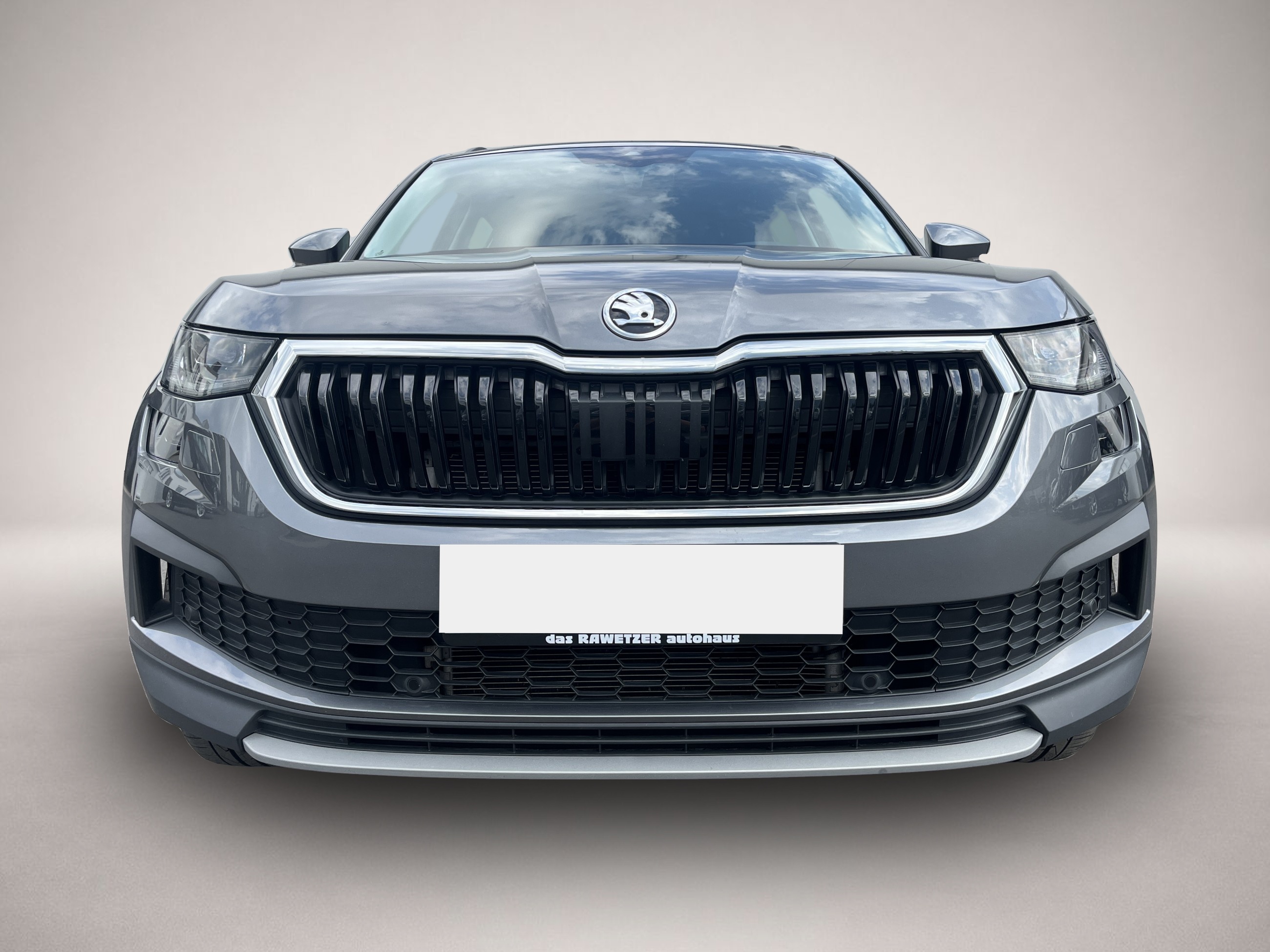Skoda Kodiaq (12/2022, Diesel)