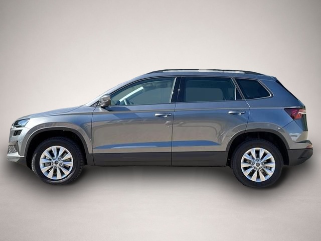 Skoda Karoq (06/2026, Benzin)