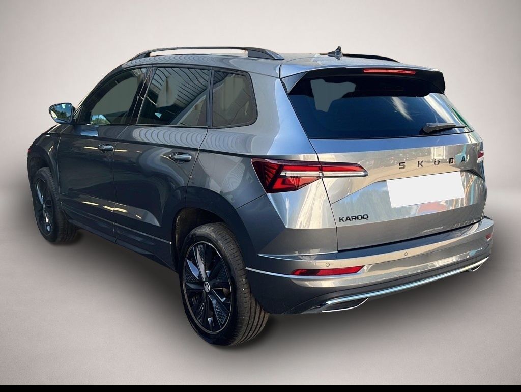 Skoda Karoq (01/2026, Benzin)