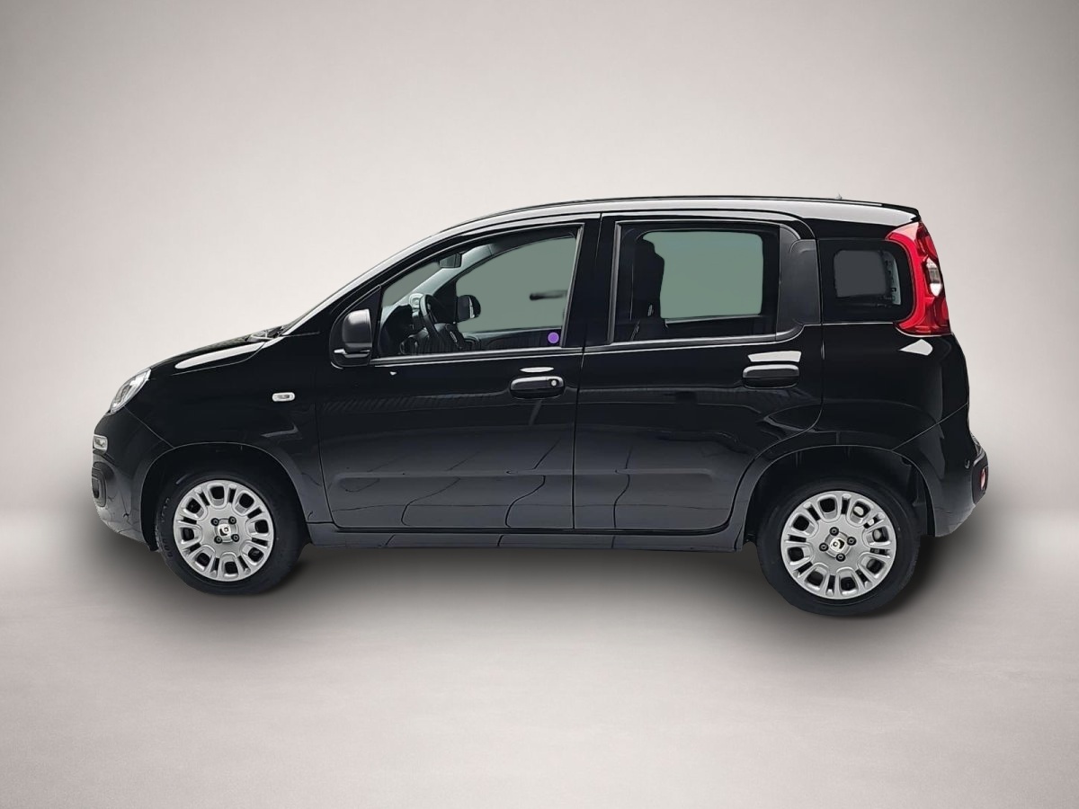 Fiat Panda, Bild 4 von 4