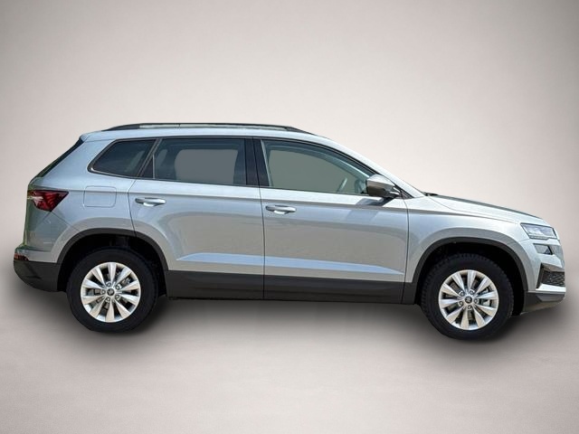 Skoda Karoq (06/2026, Benzin)