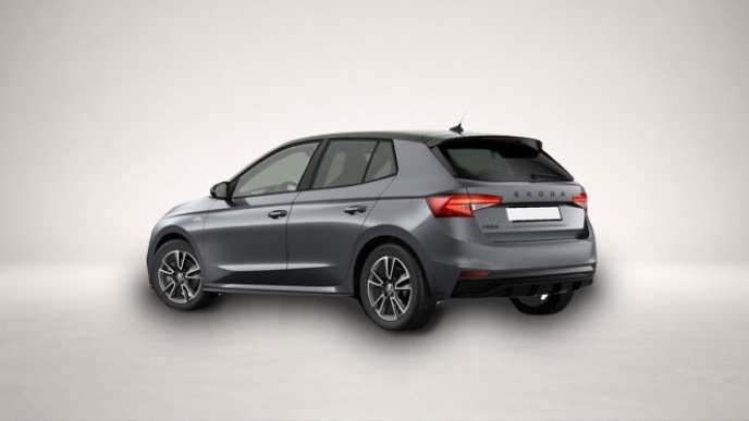 Skoda Fabia (06/2026, Benzin)
