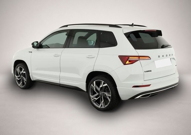 Skoda Karoq (04/2026, Benzin)
