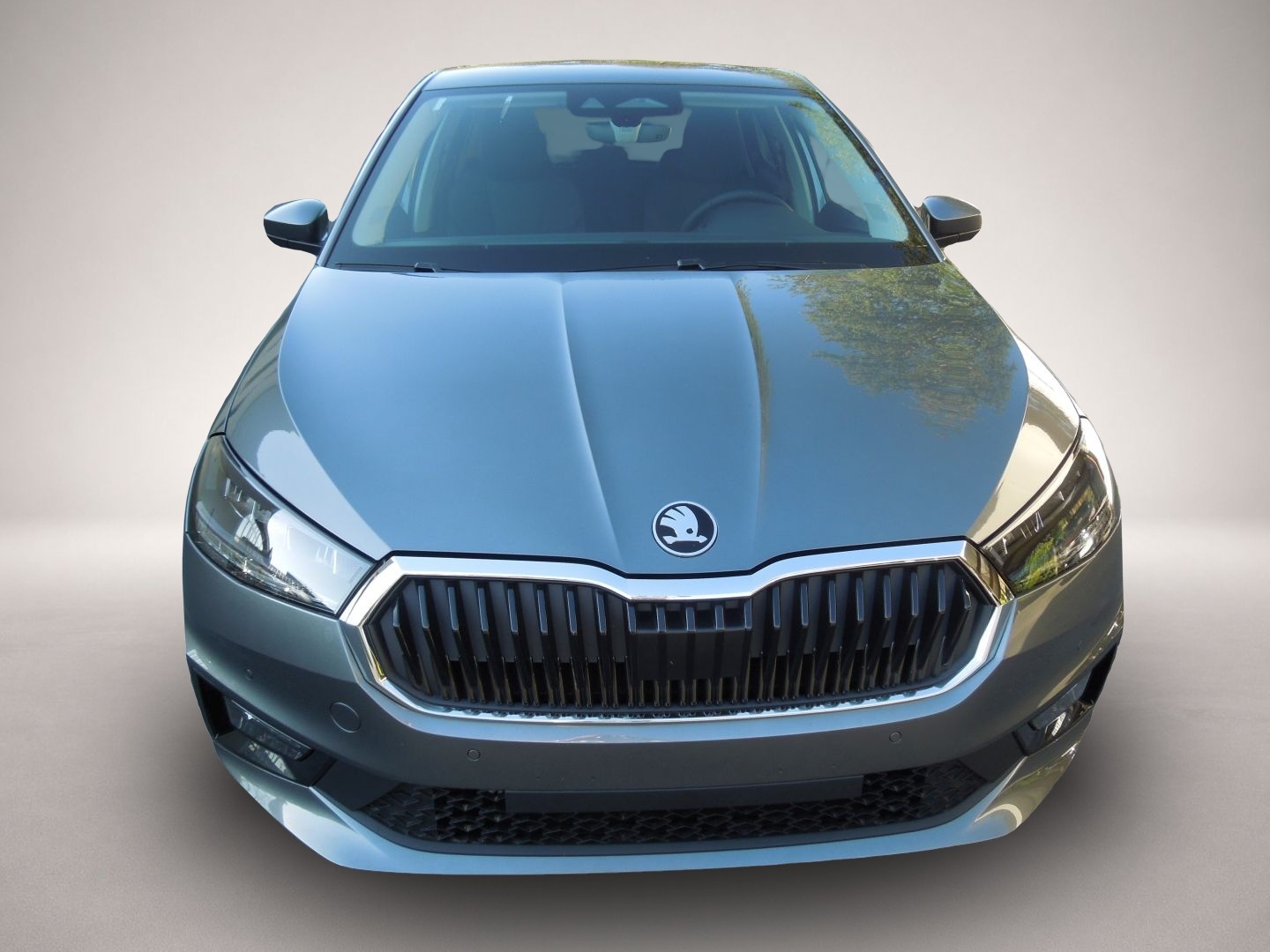 Skoda Fabia (, Benzin)